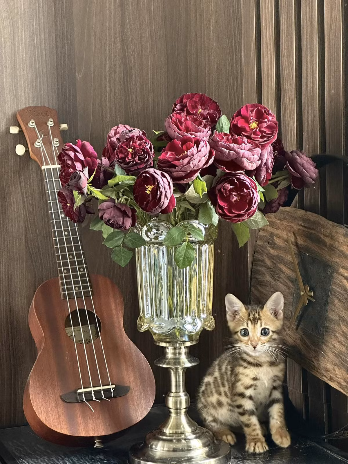 Trên trang cá nhân, nam ca sĩ cũng đăng tải dòng trạng thái vui vẻ "kể tội" chú mèo cưng, thu hút sự quan tâm của nhiều người.