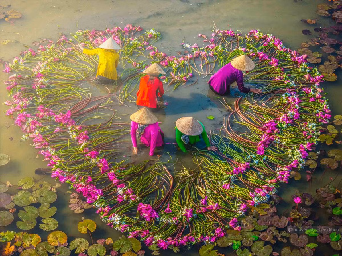 Ảnh: Nguyễn Khánh Vũ Khoa