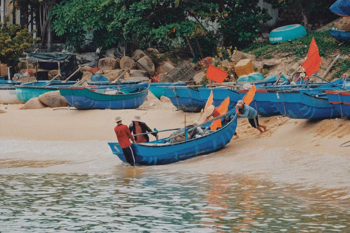 Du khách có thể ghé bến tàu cá mua hải sản tươi vừa đánh bắt về từ khoảng 5h đến khoảng 7h30. Ảnh: Tuyên Parafu