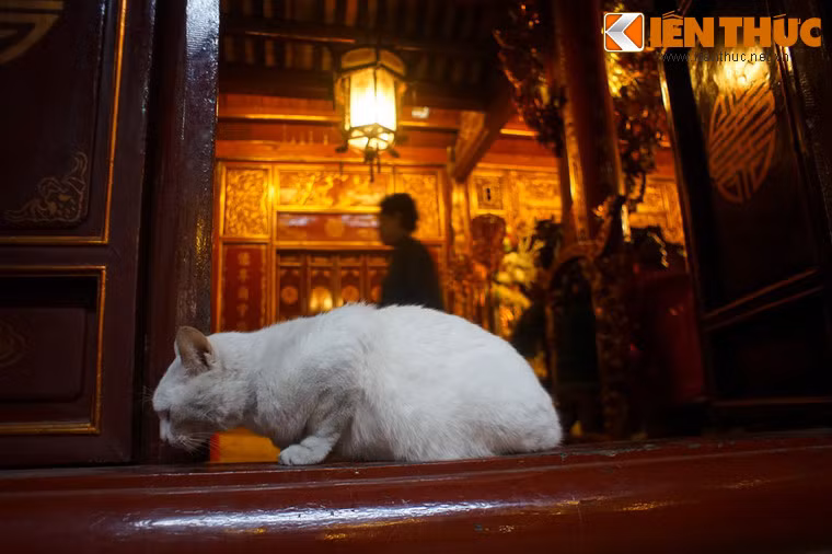 Nằm ở trung tâm khu phố cổ Hà Nội, ngày nay ngôi đền là điểm đến thu hút rất đông du khách trong và ngoài nước.