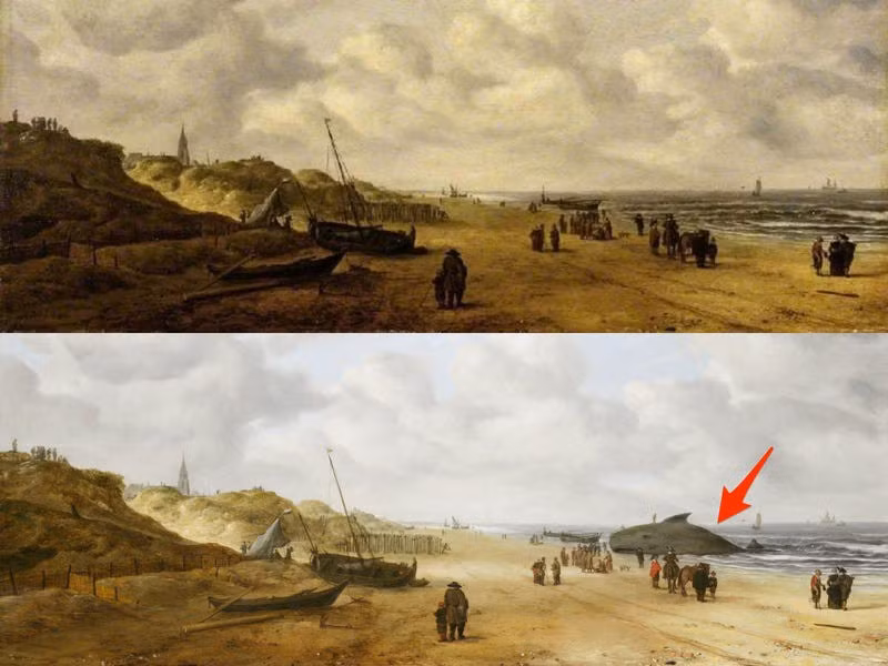Khi bức tranh "Scheveningen Sands" được vẽ vào những năm 1600, nó cho thấy nhóm người đang tụ tập trên bờ biển quanh 1 con cá voi. Tuy nhiên, sau đó, con vật này đã bị sơn đè lên, để lại 1 nhóm người tập trung quanh một thứ gì đó vô hình. Sau này, các nhà phục chế tranh đã phát hiện ra cái gì đó giống như 1 người lơ lửng trên không trung nhưng thực ra đó là vây của con cá voi. Nhận định về nguyên nhân con cá voi bị sơn đè lên, nhà phục chế Shan Kuang cho rằng việc miêu tả một con vật đã chết trong các bức tranh bị coi là điều không tốt vào thế kỷ 18 và đầu thế kỷ 19.