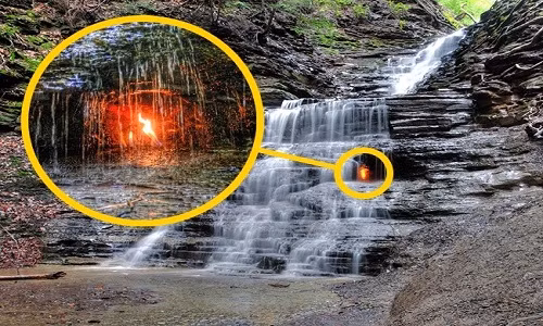 Hàng năm, nhiều du khách ghé thăm Khu bảo tồn Shale Creek thuộc công viên Chestnut Ridge, New York, Mỹ đều không thể bỏ qua thác nước bên trong có ngọn lửa cháy mãi không tắt.