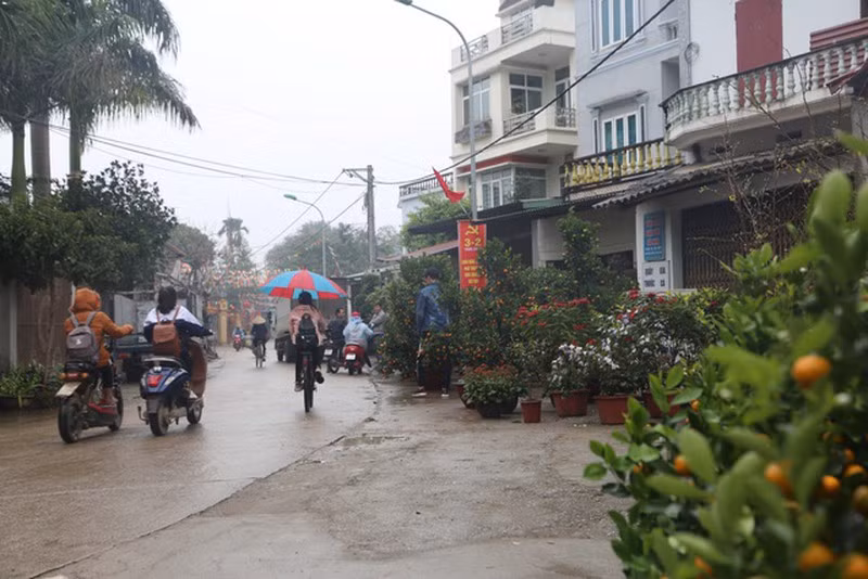 Người dân thôn Hoành cho biết, những ngày qua, sau những xáo trộn biến cố, cuộc sống người dân nơi đây đã trở lại bình thường. Mọi người đã ổn định cuộc sống để làm ăn và chuẩn bị vui đón Tết cổ truyền.