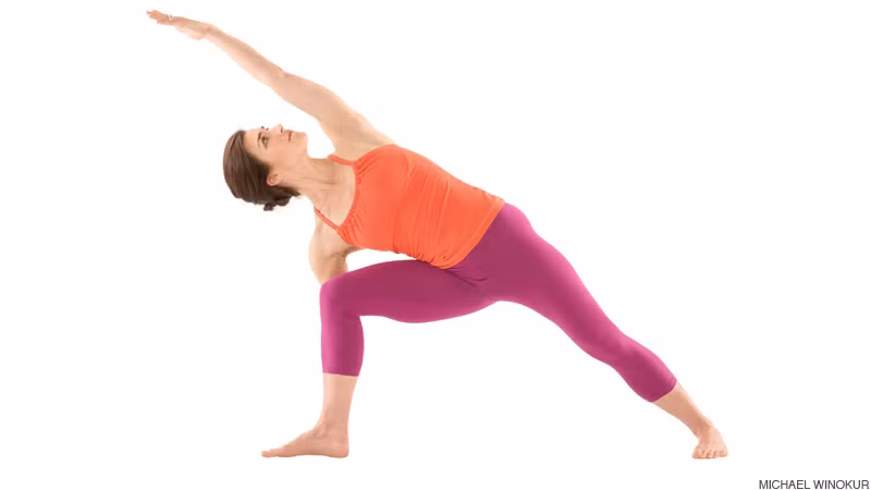 Vốn thuộc kiểu yoga linh hoạt và năng động khi kết hợp với thảm, vinyasa yoga, hay còn gọi là flow yoga, sở hữu tất cả lợi ích về cả thể chất và tinh thần của kiểu yoga truyền thống. Việc chuyển đổi liên tục giữa các tư thế khiến cho bạn cũng tiêu hao nhiều năng lượng như múa.