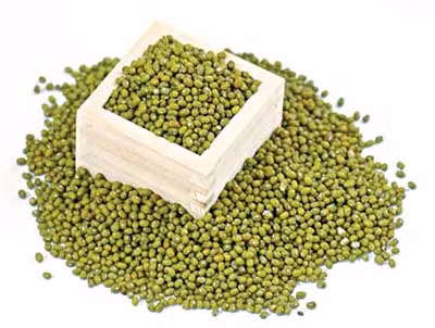Đậu xanh. Màu xanh lá cây của đậu là giàu protein, carbohydrate, vitamin và khoáng chất khác nhau, vì vậy nó là một protein cao điển hình, thực phẩm ít chất béo. Nó có tính hàn có thể ngăn mụn nhọt cho các bạn gái.