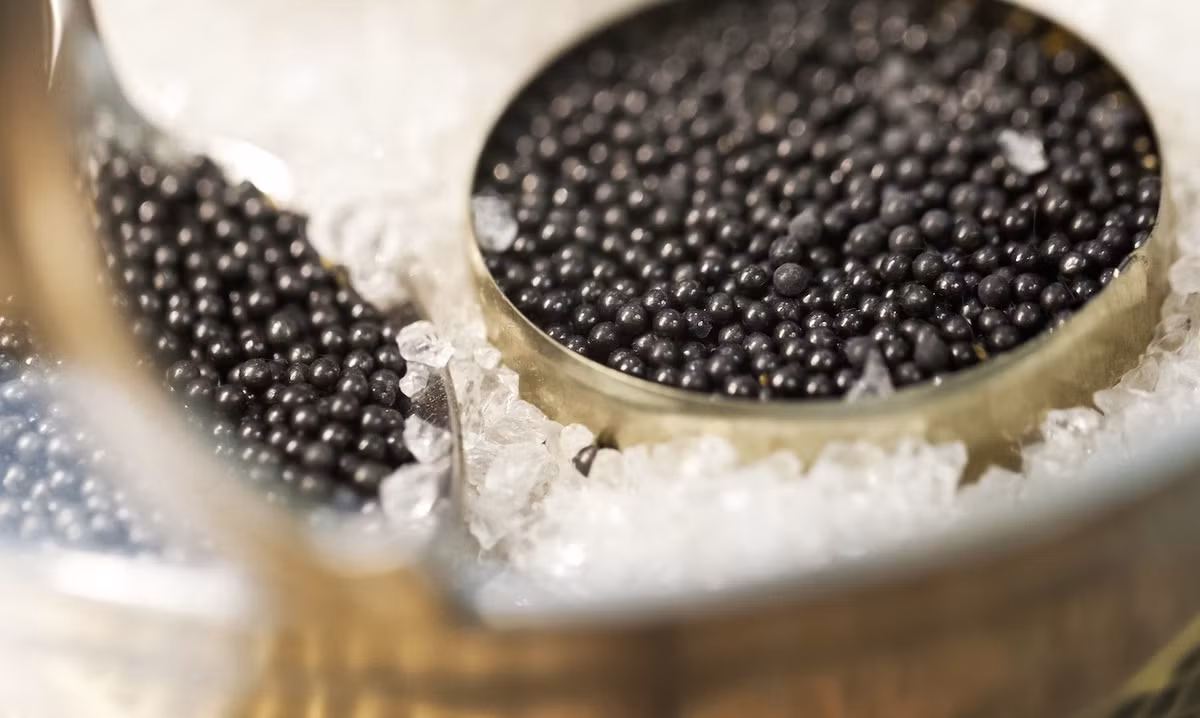 Muốn xác định trứng cá muối Caviar ngon, bạn hãy quan sát kỹ bên ngoài những viên trứng. Ảnh: kenh14cdn.