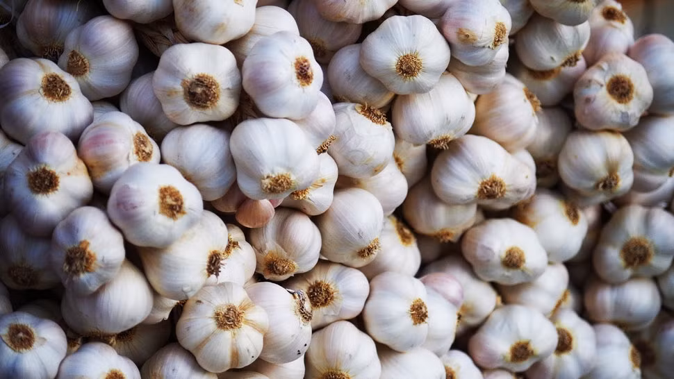 Chính vì vậy, tỏi có tác dụng tránh thai sau sinh khá an toàn mà mang lại hiệu quả cao. Ảnh: bustle.