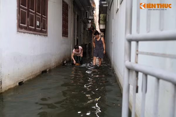 Người dân nơi đây đang hàng ngày phải sống chung với cảnh ngập úng, mùi hôi tanh kinh hãi dù muốn hay không cũng phải chịu đựng.