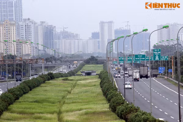 Thảm cỏ xanh mướt được trồng nằm giữa các hướng đường Đại lộ Thăng Long khiến con đường trở nên đẹp hơn.