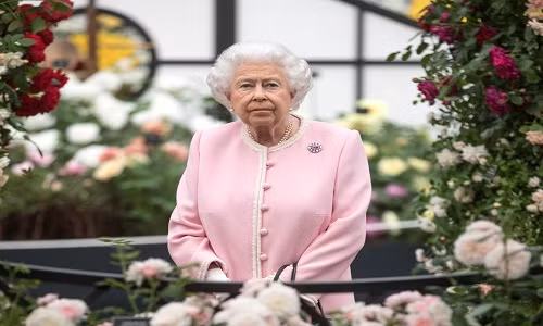 Theo Insider, Nữ hoàng Anh Elizabeth II từng gặp gỡ 12 vị Tổng thống Mỹ và đi nhiều nơi trên khắp thế giới. Tuy nhiên, có những điều tưởng chừng rất đỗi bình thường với mọi người mà bà lại chưa từng trải nghiệm. (Nguồn ảnh: Insider) 