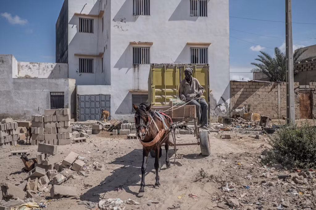 Nhiều người Senegal coi xe ngựa kéo là một phần của bản sắc văn hóa đất nước. Trong thành phố, những chiếc xe ngựa kéo với thùng gỗ len lỏi qua dòng xe cộ ùn tắc. Những người ủng hộ nói rằng chúng phù hợp với những con đường thường bị chôn vùi trong cát thổi từ bờ biển gần đó hoặc những con đường quá hẹp để xe tải đi qua. Ảnh: New York Times.