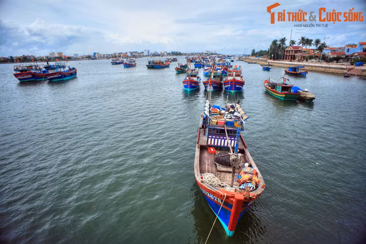 Khi đó, các đồng nghiệp người Quảng Bình liền kể cho nhà văn Liên Xô biết về truyền thống trồng hoa hồng có từ xưa ở Đồng Hới và chuyện người Pháp ngày trước vẫn gọi thị xã Đồng Hới là “Thành phố Hoa Hồng”. Ảnh: Thuyền đánh cá trên sông Nhật Lệ, Đồng Hới.