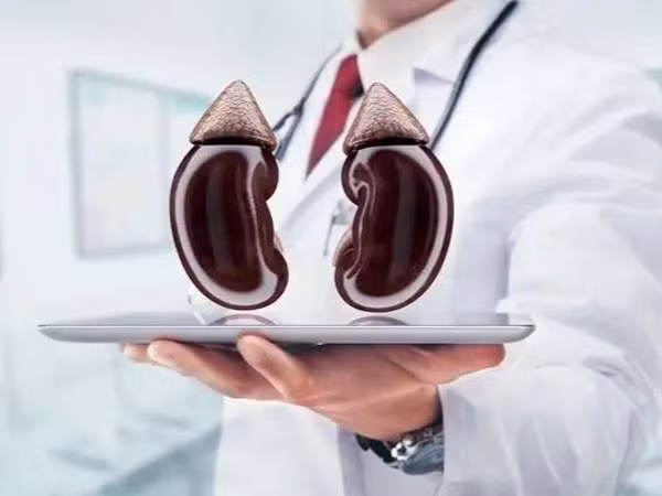 Thực hiện 4 việc này vào buổi sáng sẽ giúp thận luôn khỏe Thuc hien 4 viec nay vao buoi sang se giup than luon khoe