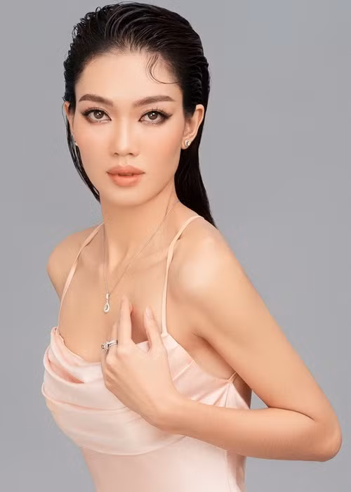 Người đẹp đến từ Long An từng tham gia một số cuộc thi nhan sắc trước Hoa khôi Sông Vàm. Ảnh: FBNV