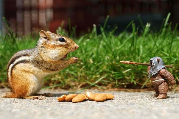 Hãy đầu hàng đi nào!
