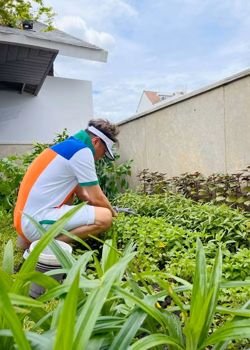 Đàm Vĩnh Hưng mua cây về trồng trong những chuyến công tác, du lịch. Ảnh: FBNV