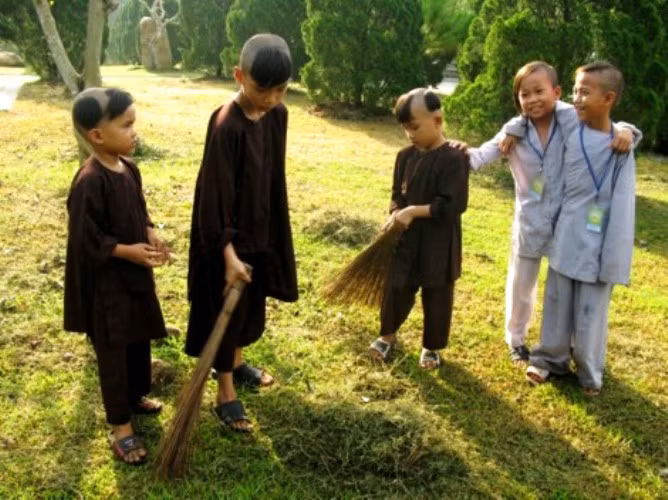 Y nghia cac chom toc tren dau chu tieu