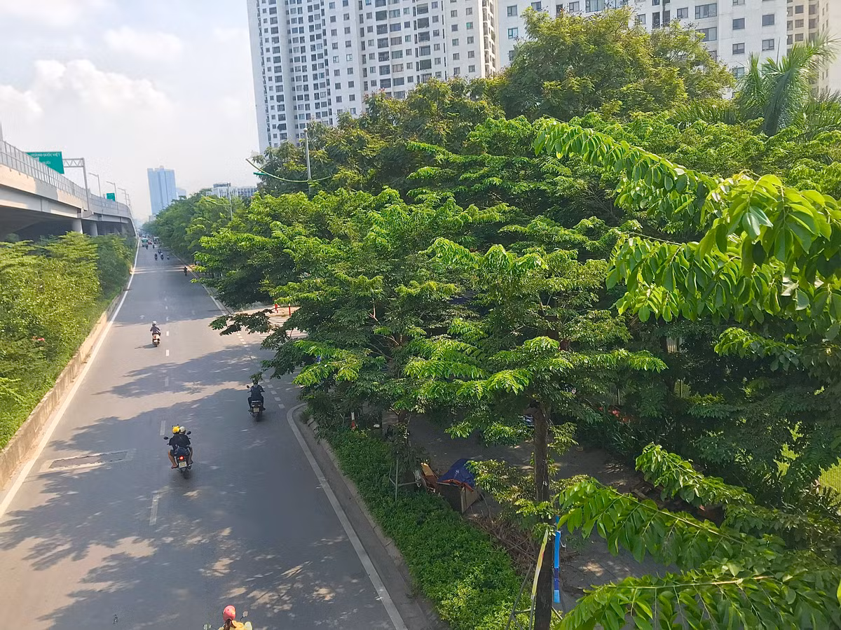 Hàng cây xanh ôm trọn không gian tuyến đường tạo cảm giác mát mẻ, làm diện mạo nơi đây thêm xanh mát hơn.
