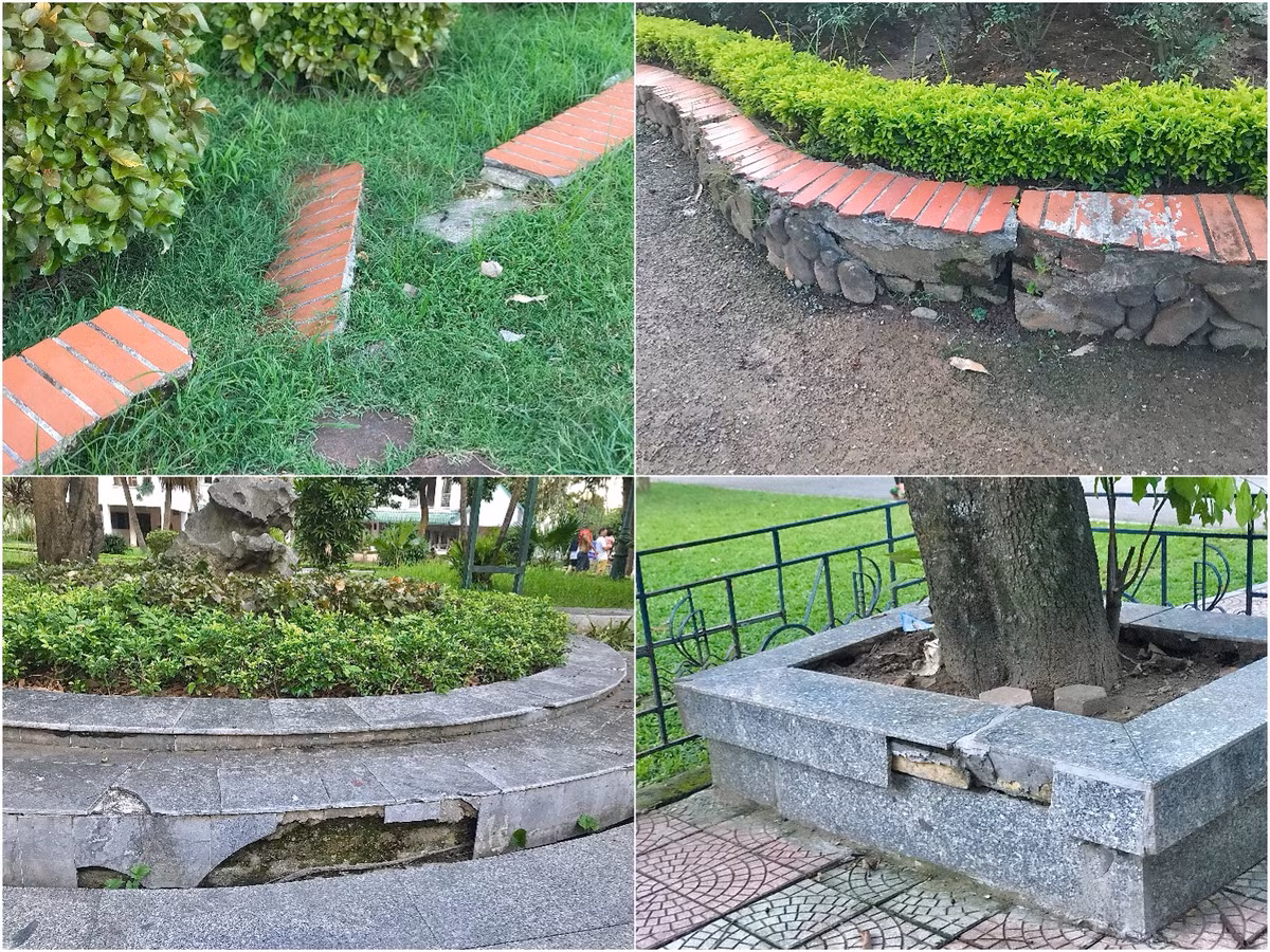 Các bậc thềm, bồn hoa, cây cảnh bị nứt toác thành nhiều mảng trông rất mất mỹ quan.
