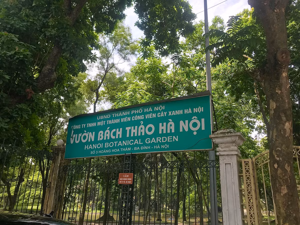 Vườn Bách Thảo Hà Nội (quận Ba Đình). Theo quyết định mới của thành phố, công viên này cùng với hai công viên Thủ Lệ và Thống Nhất đều sẽ được nghiên cứu quy hoạch chi tiết, thiết kế tổ chức mặt bằng, đường đi, tiểu cảnh đồng bộ; trồng bổ sung cây hoa, cây cảnh; nâng cấp, sửa chữa hệ thống chiếu sáng, nhà vệ sinh, ghế ngồi, hệ thống thoát nước..