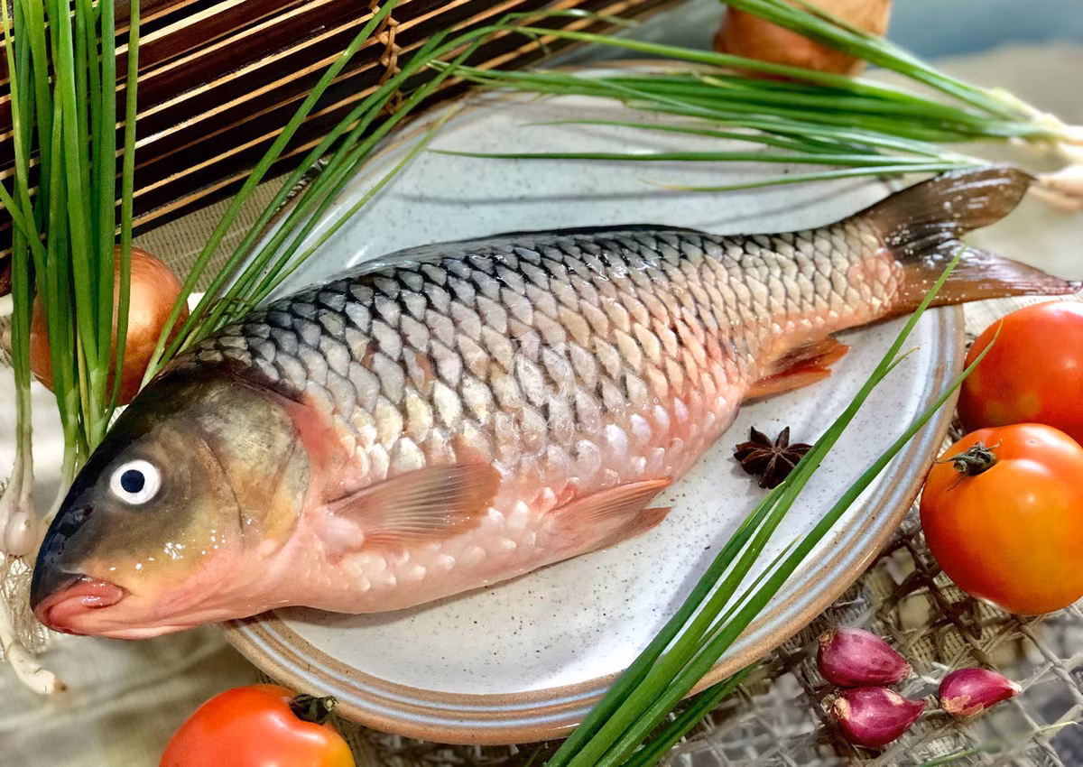 Cá chép dồi dào omega-3 cực tốt cho chị em phụ nữ Ca chep doi dao omega-3 cuc tot cho chi em phu nu