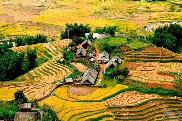 Nhiệt độ ổn định trong khi độ ẩm thấp dần, lượng mưa ít, du khách sẽ thoải mái dạo bộ khám phá những bản làng dân tộc ở Sa Pa.
