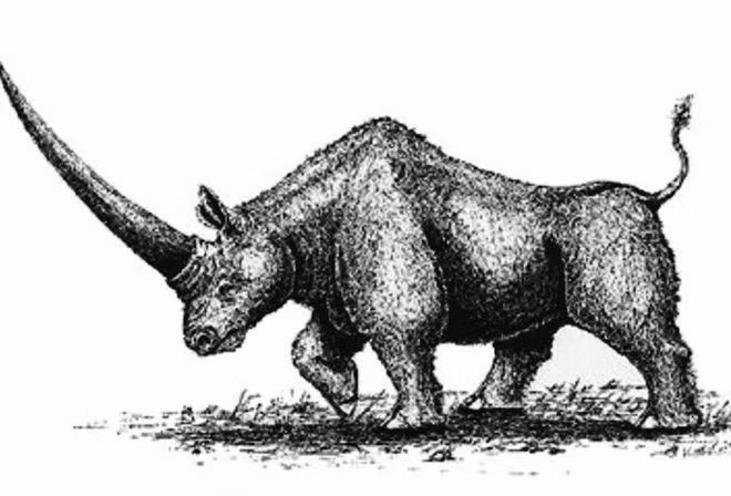Các đặc trưng kỳ dị về hình thái của tê giác Elasmotherium cũng tạo ra 2 giả thuyết về sự xuất hiện và đặc trưng môi trường sống của chúng. Giả thuyết thứ nhất, cho rằng chúng là loài động vật to lớn có lông mịn như len và sừng to ở trán, sinh sống trên các thảo nguyên.