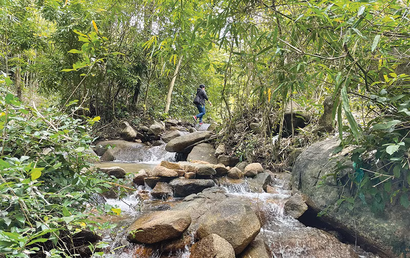 Nước ngầm dâng lên mặt đất thông qua các vết nứt nhỏ để tạo thành dòng. Khi dòng nước bị ảnh hưởng bởi các rung động bên ngoài, chẳng hạn như tiếng hét, sẽ tạo ra một áp suất, khiến nước bị đẩy trở lại lòng đất. Khi âm thanh biến mất , nước sẽ dâng lên trở lại và chảy ra ngoài.
