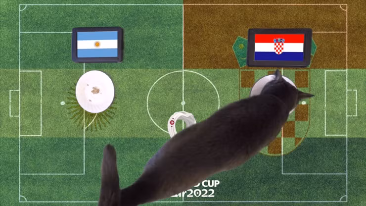 Trước trận bán kết giữa Argentina vs Croatia, nhà tiên tri động vật là thần rùa trổ tài dự đoán bóng đá với kết quả cuối cùng chiến thắng thuộc về đội tuyển Argentina. Trong khi đó, mèo tiên tri dự đoán chiến thắng thuộc về Croatia.