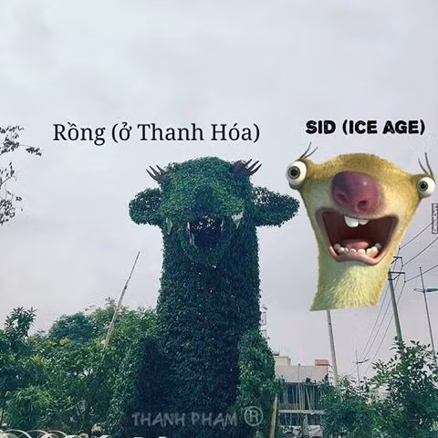 Phần lớn dân mạng cho biết họ không thể nhịn cười trước biểu cảm không quan tâm những lời chê bai và tự tin vào "nhan sắc" của chú rồng này. Ảnh: Thành Phạm.