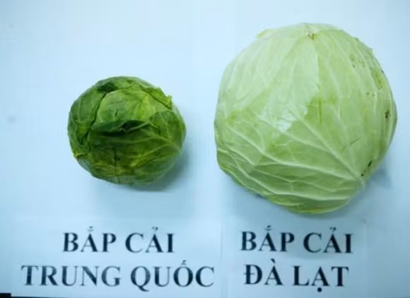 Meo chon mua bap cai ngon-Hinh-3