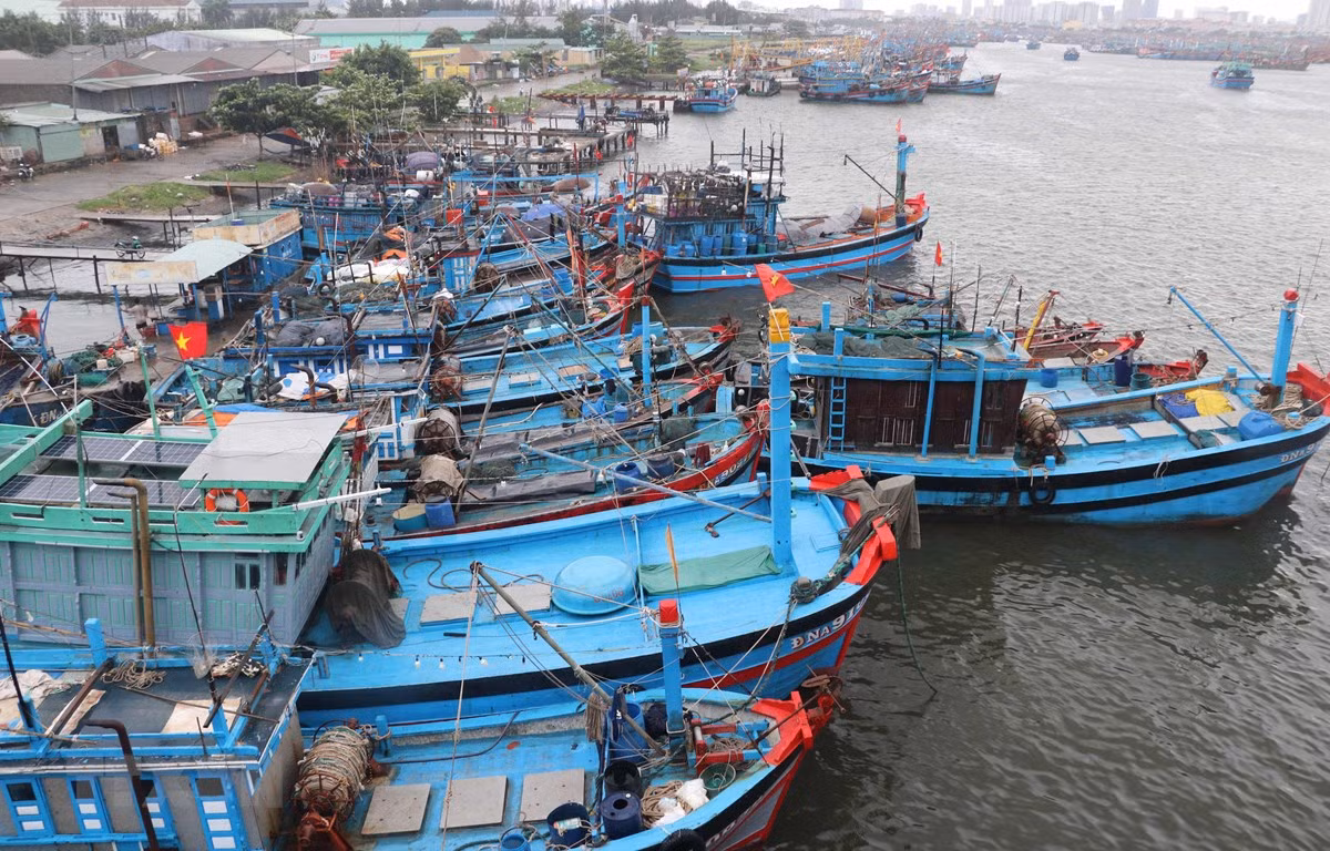 Bao so 5 manh them, di vao dat lien tu Quang Ngai den Khanh Hoa