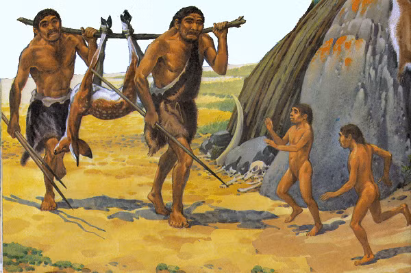 Nguyên nhân là vì người Neanderthals và người Homo sapiens ở những nơi khác nhau, những thời điểm khác nhau cũng có những khác biệt di truyền.