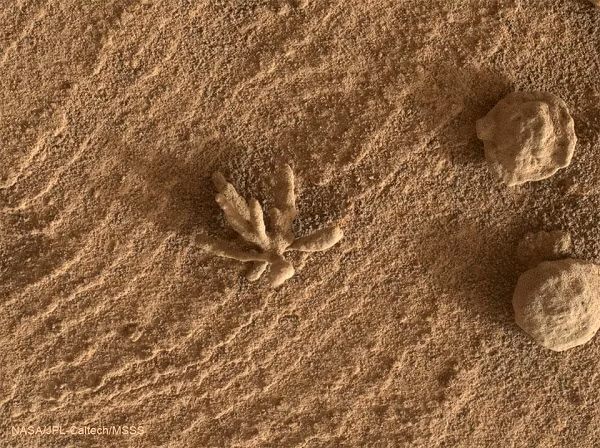 Tuy nhiên, phía NASA cho biết đó không phải bằng chứng về nền văn minh của người Sao Hỏa. Nó có thể được tạo ra từ chất giống xi măng, từng lấp đầy các vết nứt cổ xưa của lớp đá làm nền móng cho vỏ hành tinh.