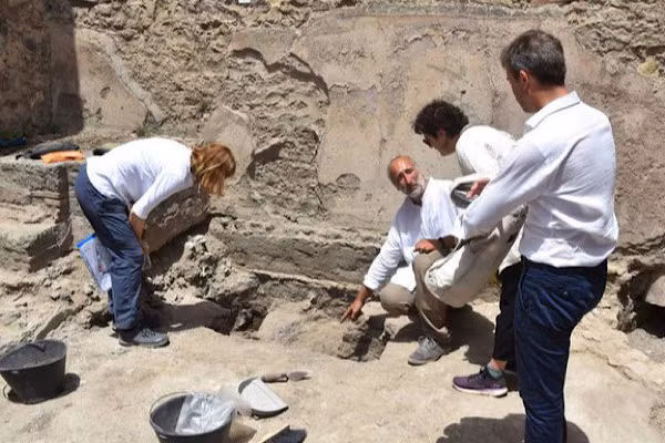 Pompeii về cơ bản đã bị đắm và không phải nơi nào cũng có thể được xây dựng lại sau trận động đất. Hệ thực vật và động vật từ vùng nông thôn xung quanh đã di chuyển vào thị trấn.