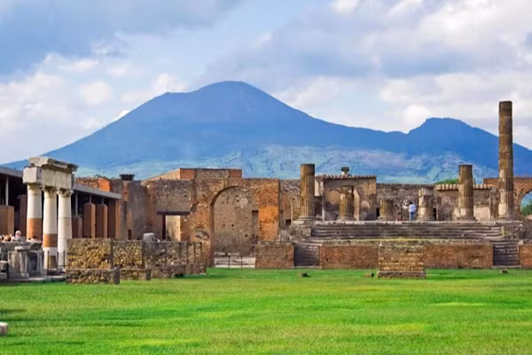 Các nhà khoa học cho rằng phát hiện này minh chứng cho sự phong phú của hệ sinh thái tự nhiên ở Pompeii trong thời kỳ sau trận động đất.