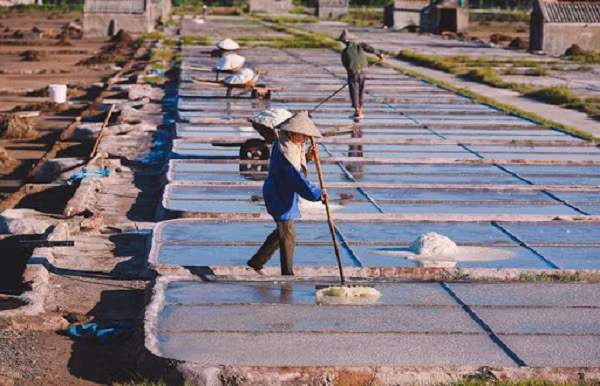 Mặc dù hàm lượng natri ở muối biển nhạt đã giảm so với trước nhưng việc sử dụng muối nhạt cũng giống như muối ăn bình thường chúng ta chỉ nên tiêu thụ trong khoảng cho phép.