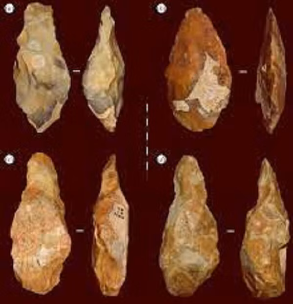 Homo erectus hoặc Homo heidelbergensis là hững loài thuộc nhóm cổ nhất của chi người, với dáng đứng thẳng và cơ thể rất giống chúng ta nhưng khuôn mặt còn mang nhiều nét của vượn.