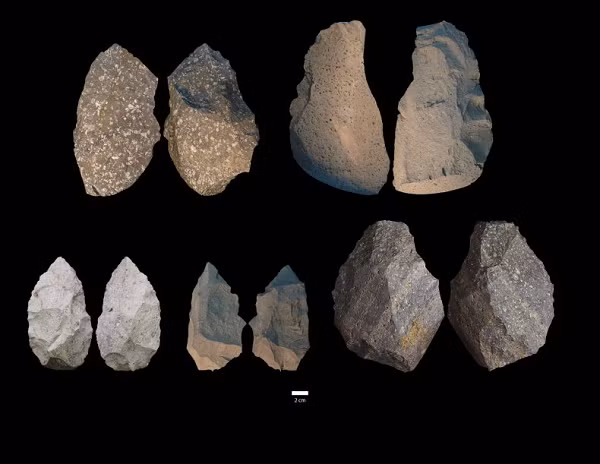 Người Homo erectus không tuyệt chủng trước khi Homo sapiens ra đời như suy nghĩ trước đây, mà có phần lịch sử song song chúng ta suốt 200.000 năm.