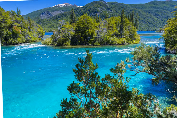 Vườn quốc gia Los Alerces, Argentina: Đây là hệ sinh thái cuối cùng của khu rừng rộng lớn Patagonia.