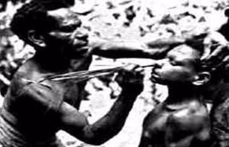 Bộ tộc Sambia ở Papua New Guinea có tập tục rùng rợn dành cho những chàng trai trẻ đánh dấu lễ trưởng thành. Khi lên 5 tuổi, chàng trai trẻ người Sambia chọc những thanh gỗ nhọn vào bên trong mũi và để cho chảy máu.
