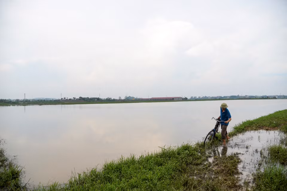 Theo người dân ở xã Tam Đồng, lần đầu tiên địa phương này xảy ra tình trạng trên. Những năm trước chỉ mưa vài ngày là nước rút.