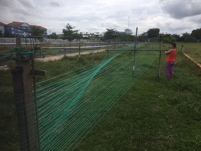 Thu nhap bat ngo cua nhung gia dinh song tren bai dat bo khong