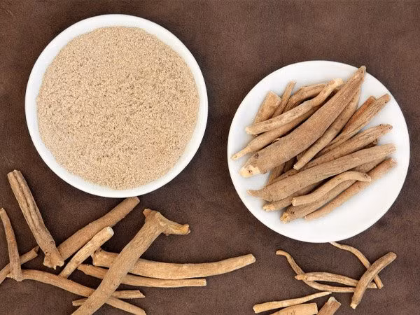 Ashwagandha: Loại thảo mộc được mệnh danh "Nhân sâm Ấn Độ" này là sự kết hợp của các axit amin và vitamin hoạt động như một adaptogen mạnh mẽ. Adaptogen là chất tự nhiên, chìa khoá giúp chống lại stress bằng cách tạo ra những hiệu quả làm dịu tâm trí. Ashwagandha xử lý một số rối loạn giấc ngủ như chứng mất ngủ. Đồng thời nâng cao sức mạnh, giúp tăng cường các hoạt động thể chất.
