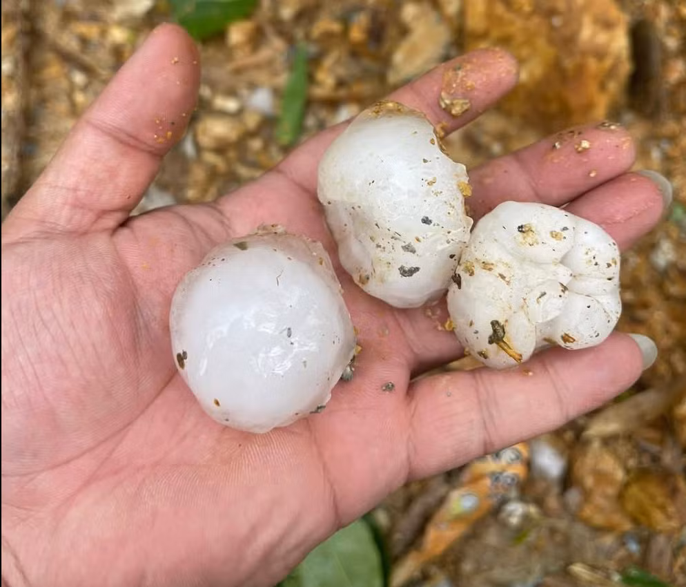 Mưa đá to bằng quả trứng gà rơi dày đặc ở Hà Giang Mua da to bang qua trung ga roi day dac o Ha Giang
