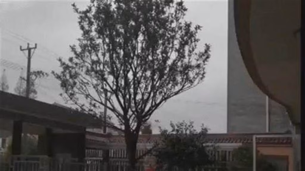 Ăn trộm quả "nhớ mãi không quên", người đàn ông làm điều choáng An trom qua