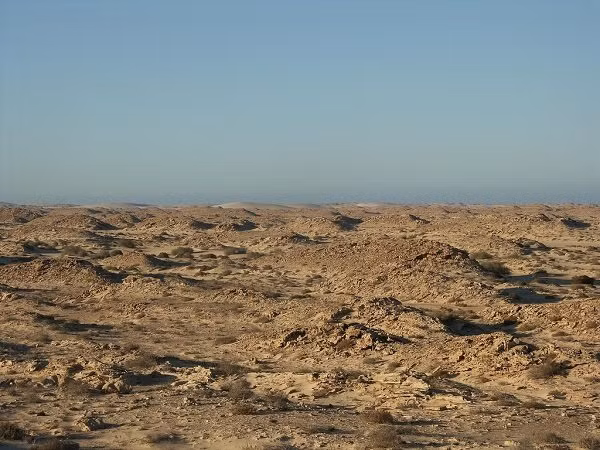 Tây Sahara chẳng có gì ngoài cát và những kẻ tử thù với nhau