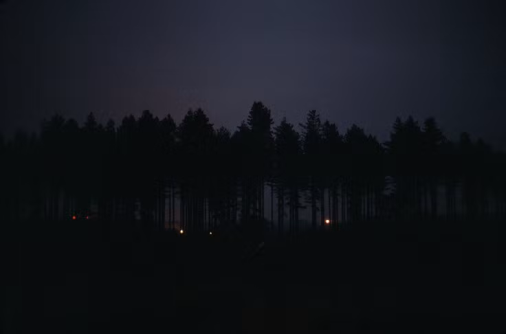 Năm 1980 chứng kiến một vụ việc bí ẩn về UFO gần căn cứ Không quân Hoàng gia Anh Bentwaters. Theo đó, vào ngày 27/12/1980, những nguồn sáng lạ đã được các binh sĩ nhìn thấy tại rừng Rendlesham. Khu rừng này nằm giữa 2 căn cứ Không quân Bentwaters và Woodbridge. Một số nhân chứng cho hay đã nhìn thấy những vật thể lạ di chuyển rất nhanh trên bầu trời, ngoài ra còn có một vật thể bay hình tam giác được báo cáo là đã hạ cánh trên một bãi đất trống.