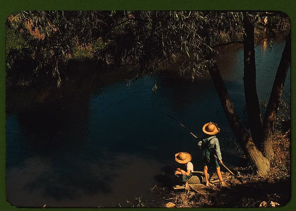 Hai bé trai câu cá ở một nhánh sông tại Schriever, Louisiana mùa hè năm 1940.