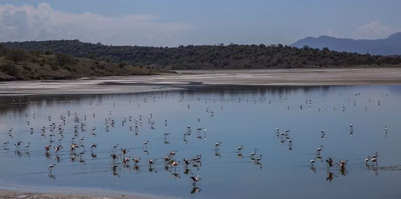 Từng có thời điểm hồ Magadi và hồ Natron hợp vào tạo thành một hồ nước khổng lồ.